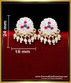ERG2302 - Impon Gold Plated Jewellery Design Stone Stud Earrings
