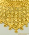 NLC520 - Stunning Gold Beautiful Flower Design Modern Indian Bridal Choker Necklace for Lehenga  